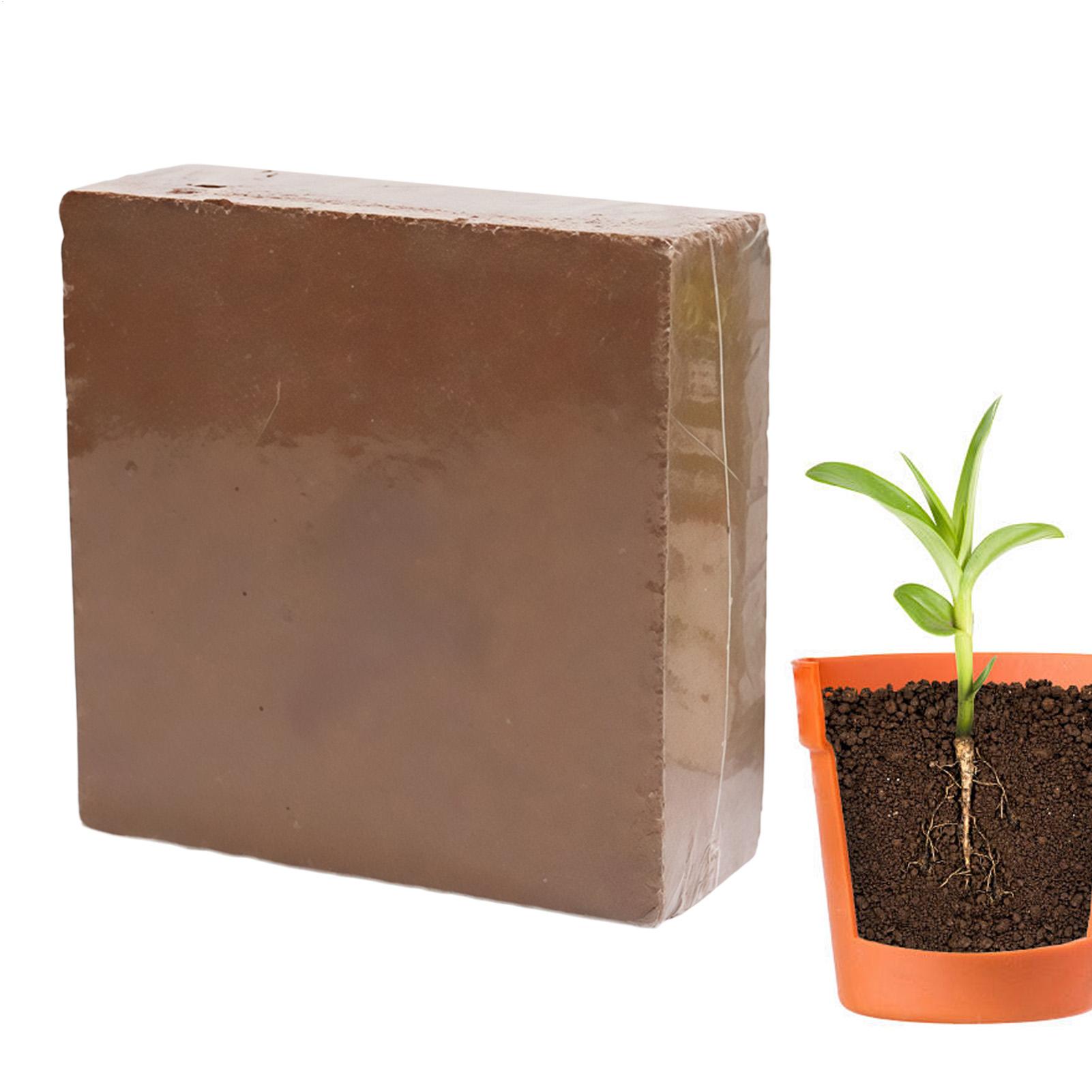 Coco Coir Block - Brick Bonsai Soil 300g Natural Compressed