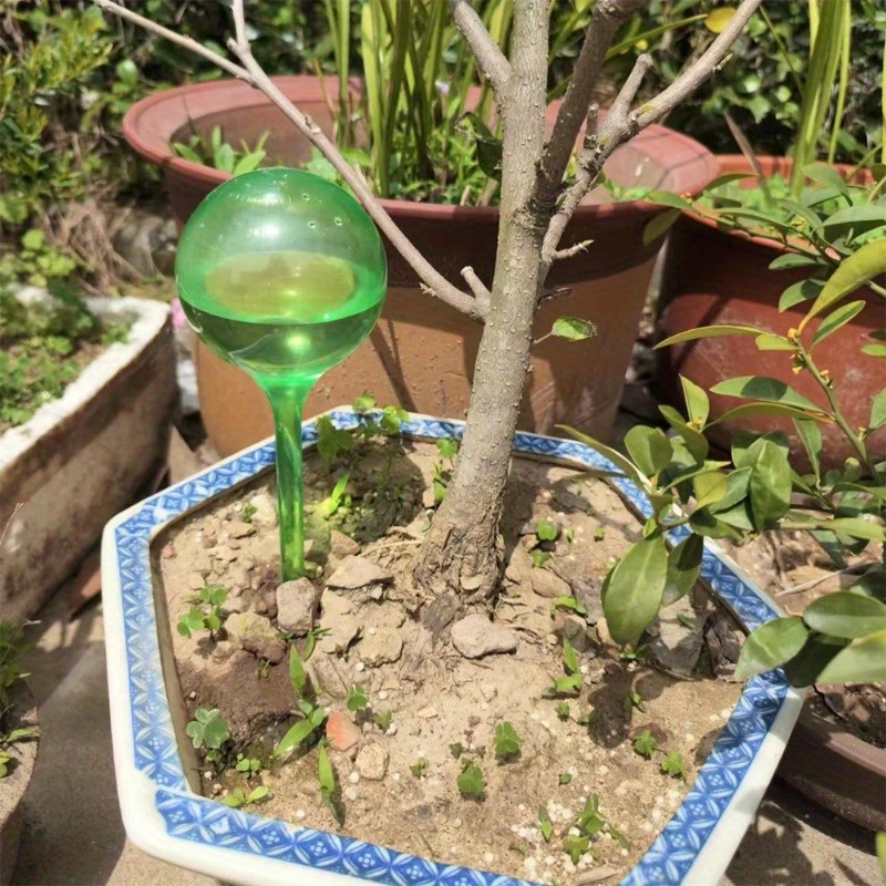 6PCS Indoor Plants Self Wateri - огляд і ціна Urban Farming System