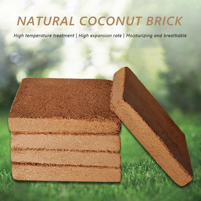 1/3/5pcs Organic Coconut Fiber - огляд і ціна Coco Coir Block