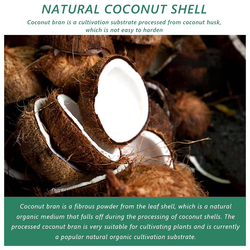1/3/5pcs Organic Coconut Fiber - огляд і ціна Coco Coir Block