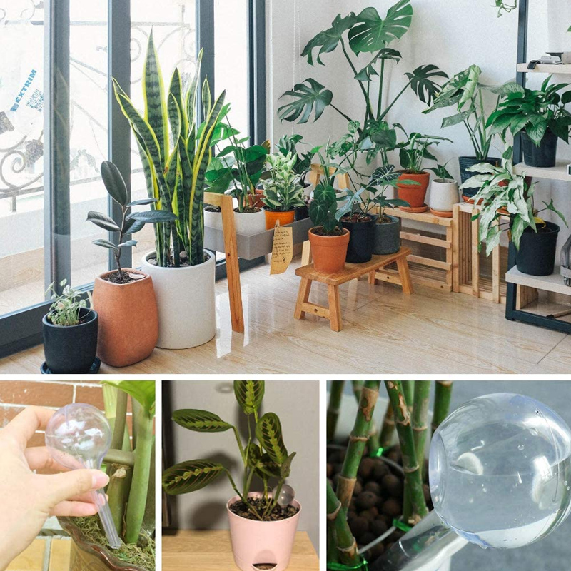 5/10PCS Automatic Plant Wateri - огляд і ціна Urban Farming System